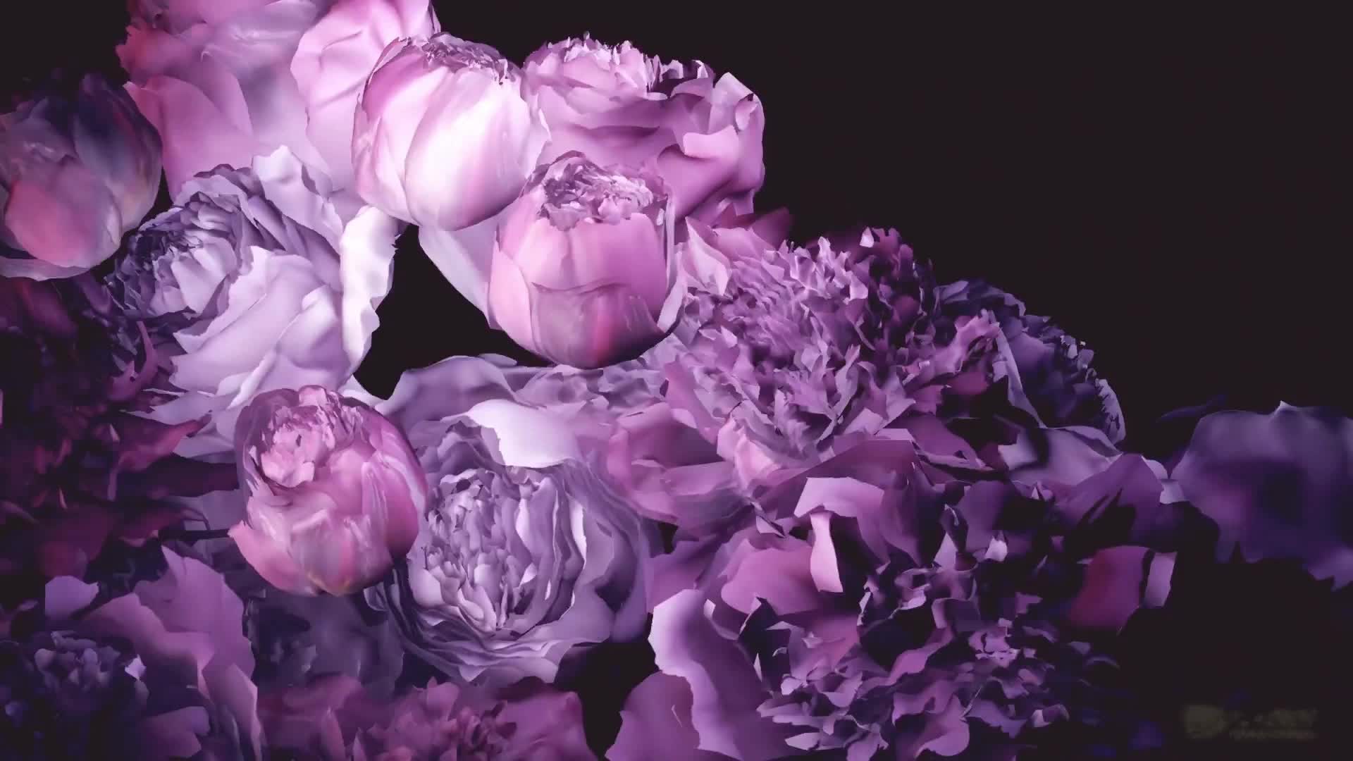 328336
