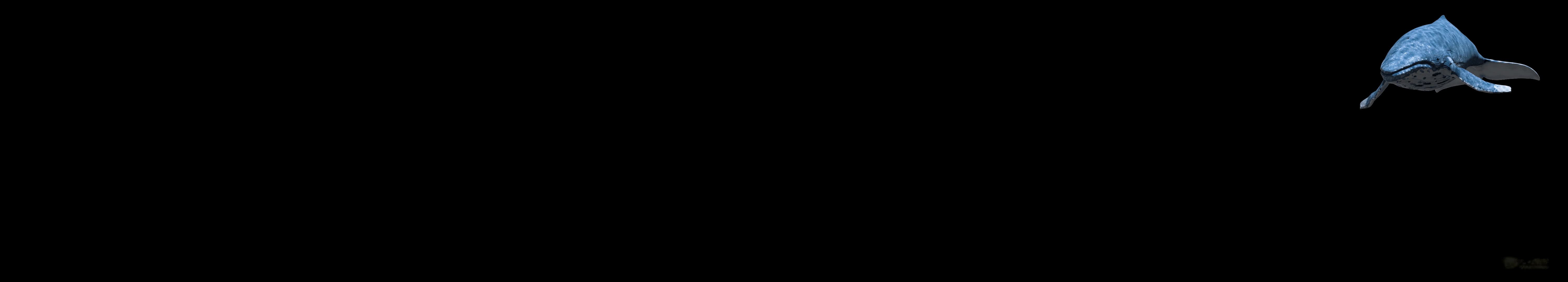 3039642
