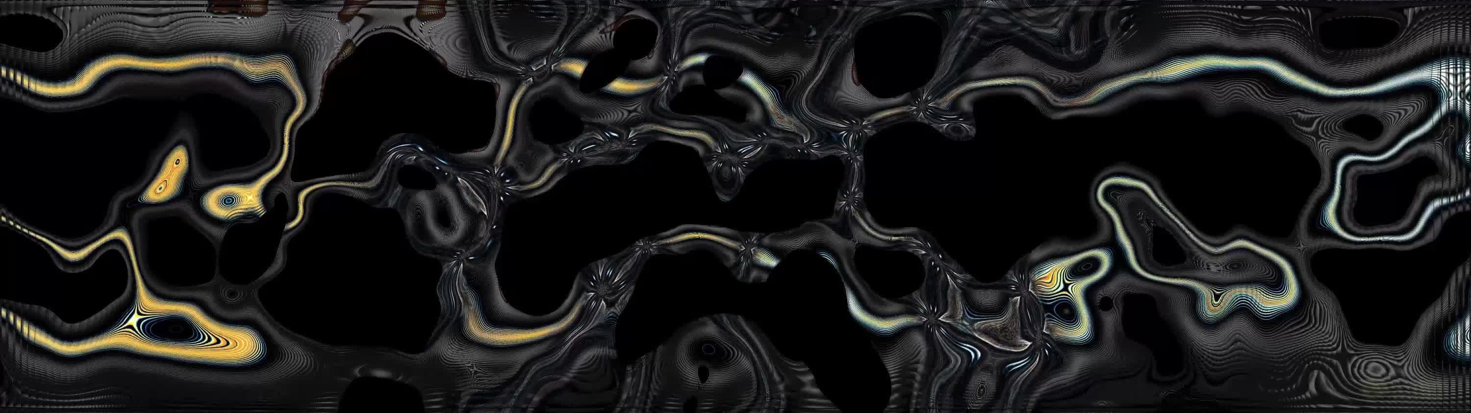 3039618