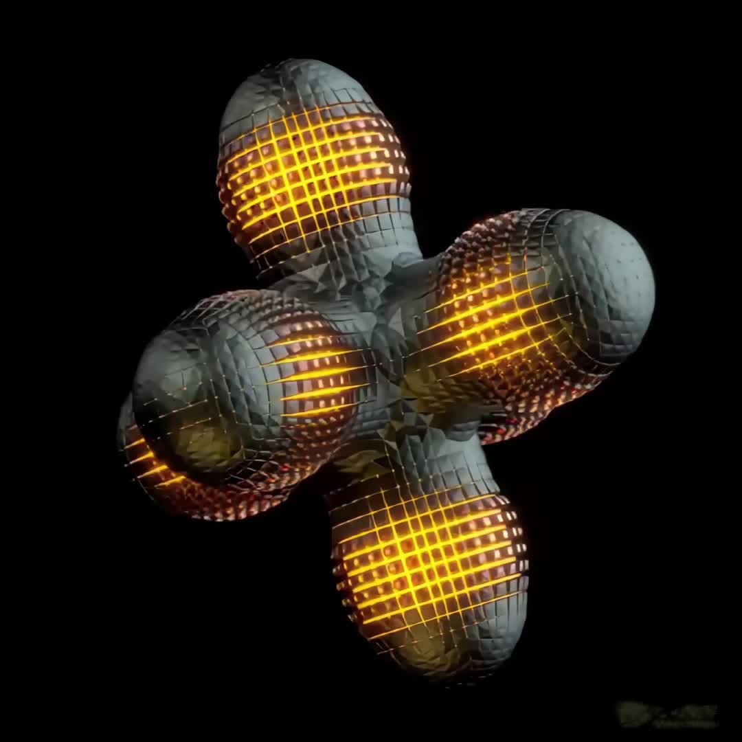 3029817