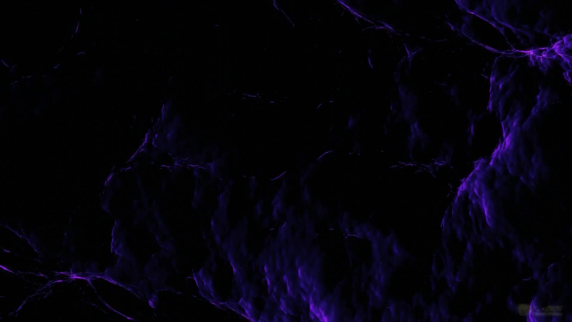 Y899460