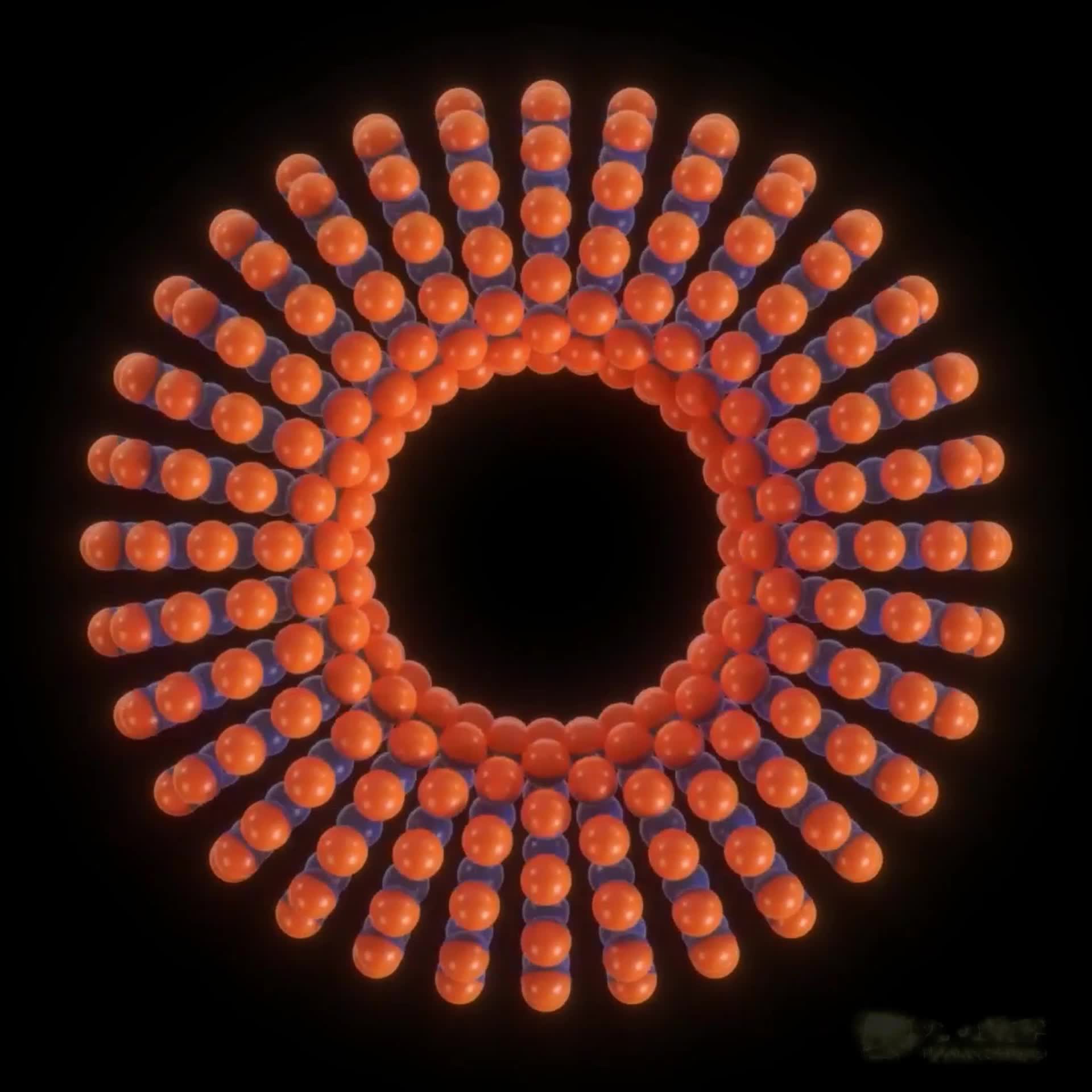 3029804