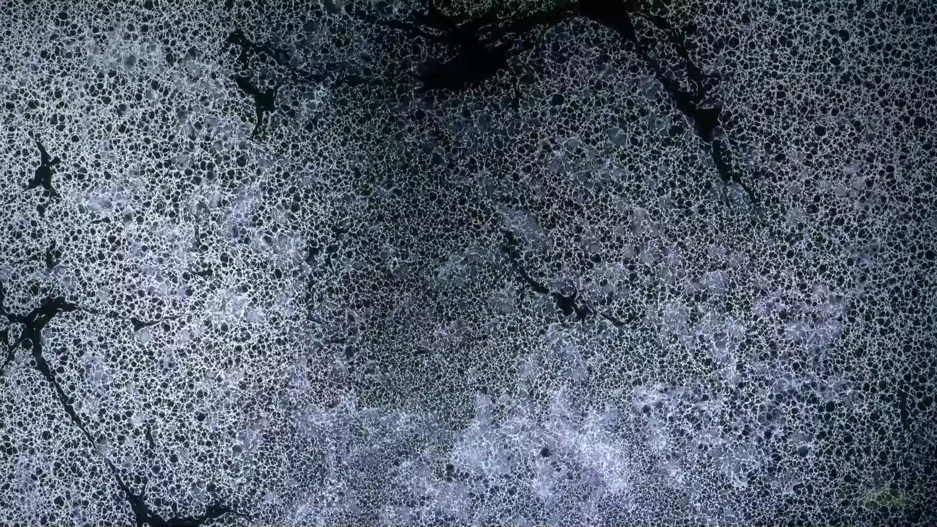 3048809