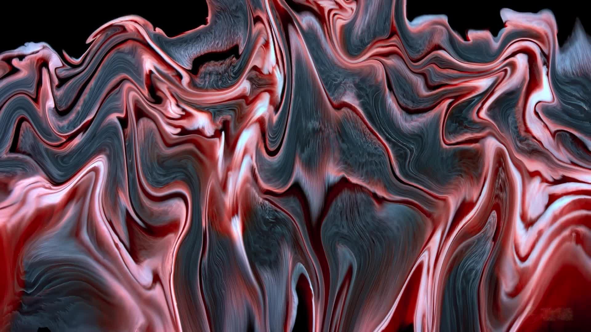 3048826