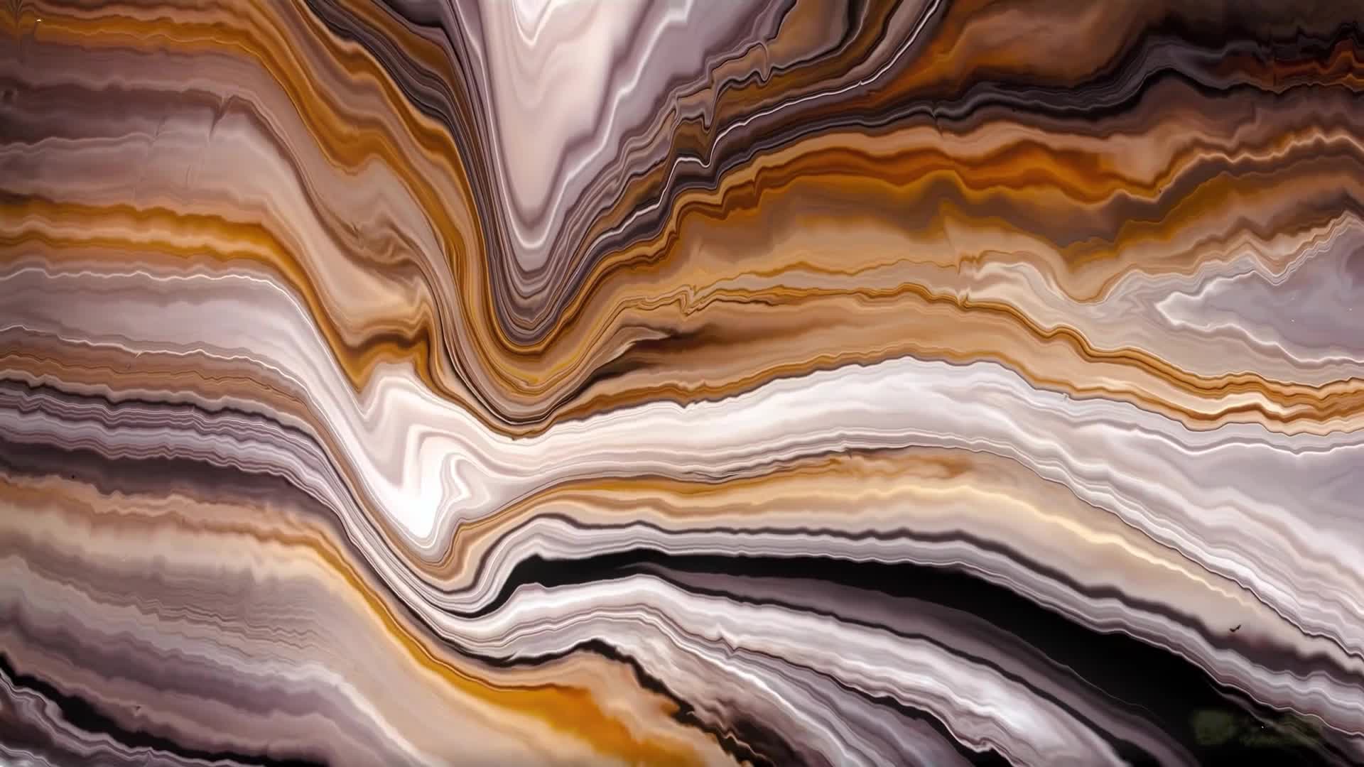 3048813