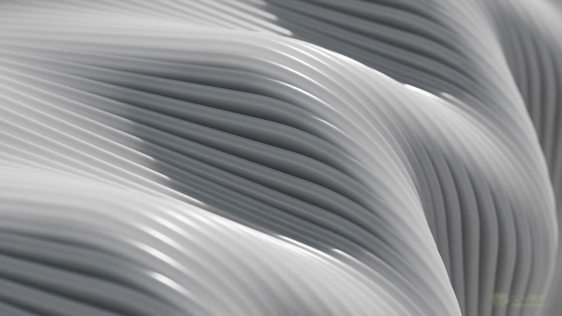 3048755