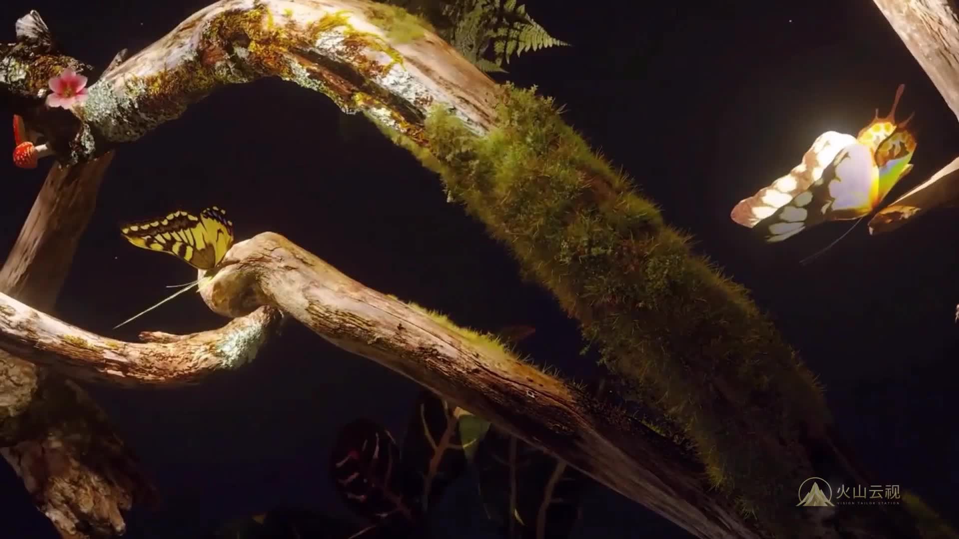 102256